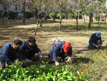 专业园林绿化工程服务，全面承接道路、工厂、小区等场所绿化业务