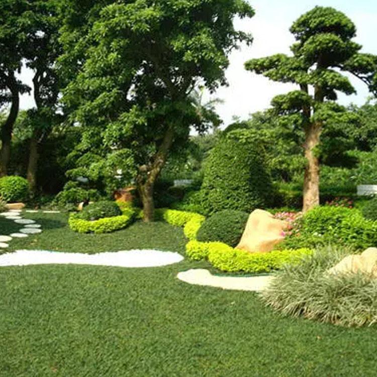 园林绿化工程 构筑城市生态与人文的和谐画卷