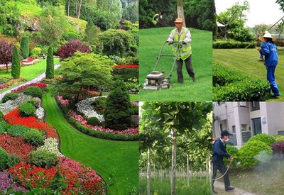 绿化养护与园林工程 广州哥利园林生态建设的专业实践